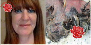 Profile image of Linda McLauchlan