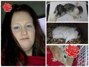 Profile image of Rachel  Goodwin