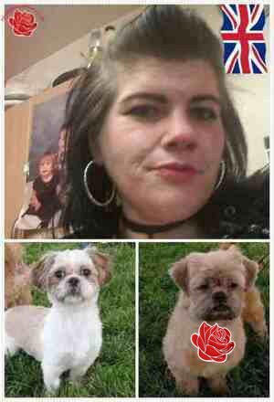 Profile image of Lindsay Tweddle