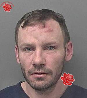 Profile image of Shane Gibson