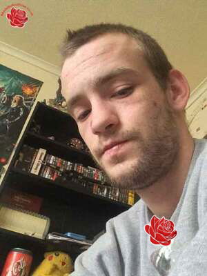 Profile image of Shaun Musson