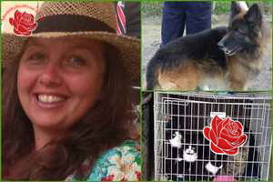 Profile image of Nicole Williams