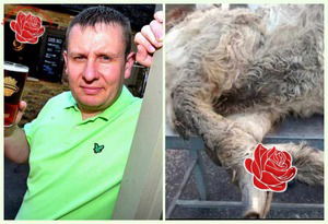 Profile image of Darren Turner