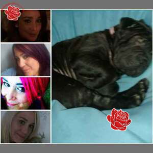 Profile image of Ebony Eve