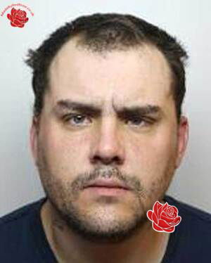 Profile image of Andi Kilgallon