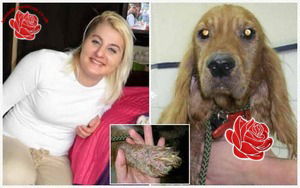 Profile image of Sylwia Pietras