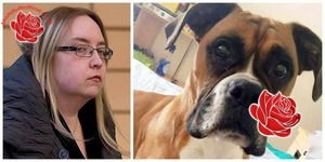 Profile image of Katy Gammon