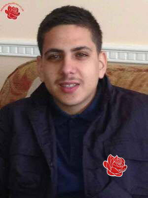 Profile image of Serdan Bosnak