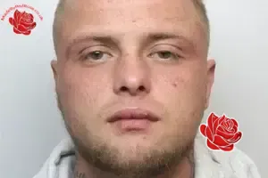 Profile image of Jonathan Williams