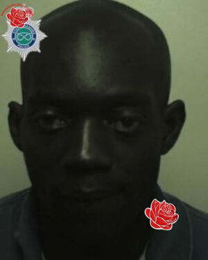 Profile image of Levi Watkis