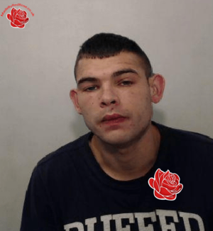 Profile image of Nathan Ahmed