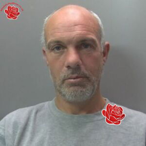 Profile image of Christy Stokes