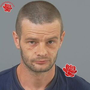 Profile image of David Howse