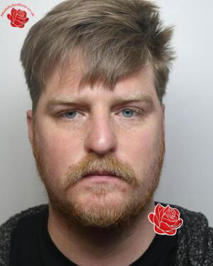 Profile image of Ashley Wilson