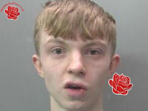 Profile image of Craig Myers