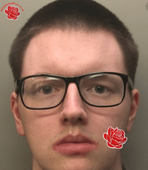 Profile image of Callum Boteler