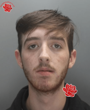 Profile image of Steff Jones