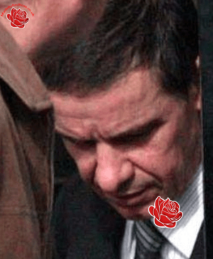 Profile image of David Lamb
