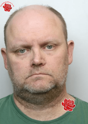 Profile image of Mathew Carlsson