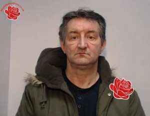 Profile image of David Reed