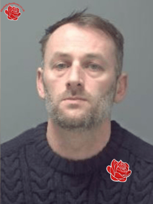 Profile image of David Brown
