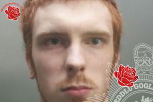 Profile image of David Williams