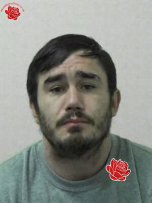 Profile image of Michael Pederson
