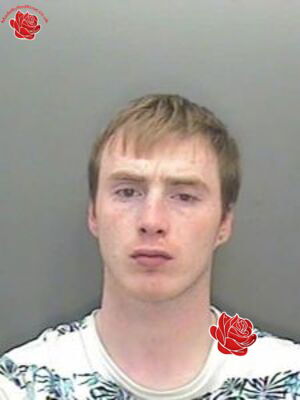 Profile image of Ross Wyborn