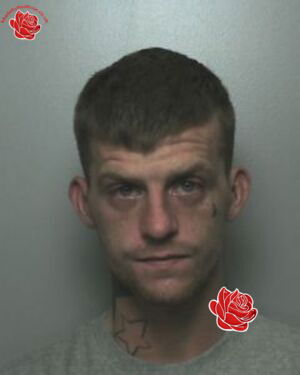 Profile image of Jason Potts