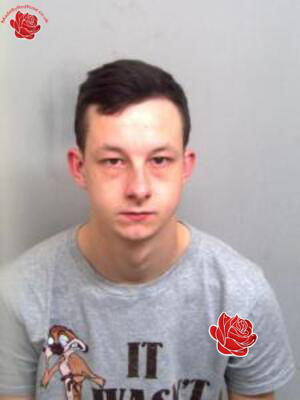 Profile image of Aaron Macdonald