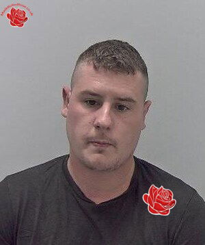 Profile image of Danny Brazier
