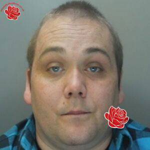 Profile image of Matthew Quirk