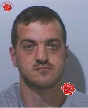 Profile image of Mark Davison