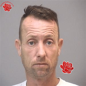 Profile image of Darren Salmon