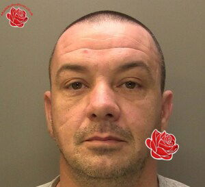 Profile image of Matthew Beattie