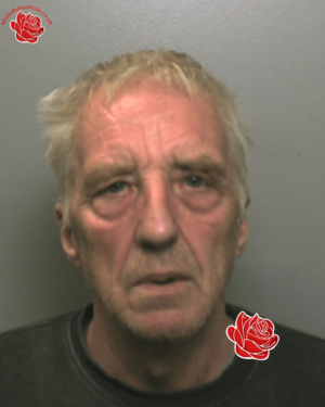 Profile image of Derek Stevenson