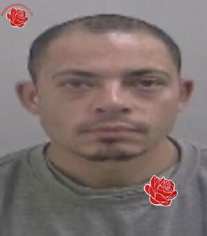 Profile image of Shawn Bennett