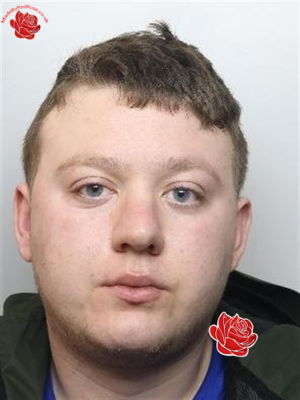 Profile image of Jordan Gould
