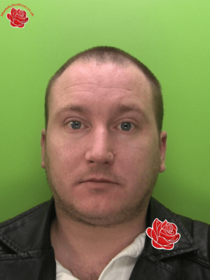 Profile image of Ashley Macleod