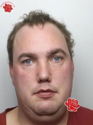 Profile image of Paul Lewis