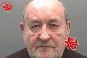 Profile image of Stephen Gibbs