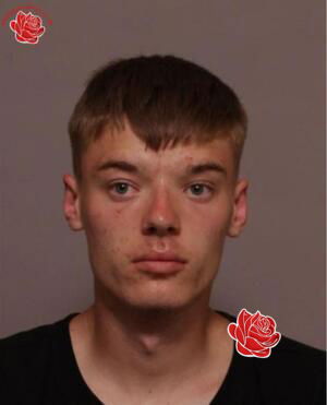 Profile image of Ryan Steadman