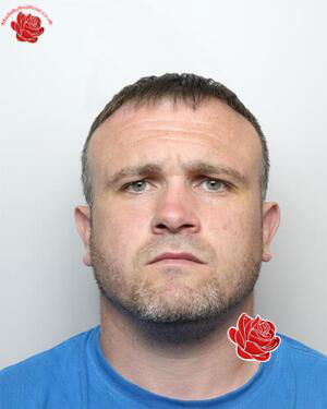 Profile image of Daniel Crotty