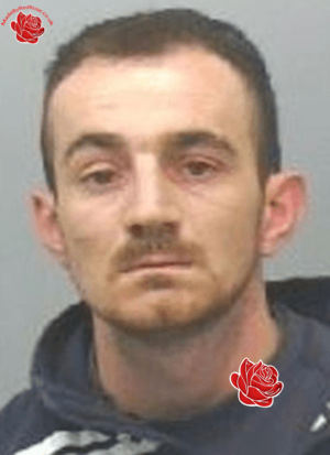 Profile image of Jed Milburn