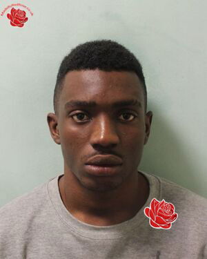 Profile image of Omieke Glenn