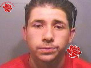 Profile image of Rhys Emmerton