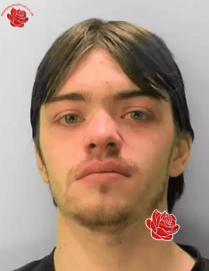 Profile image of Harley Everest