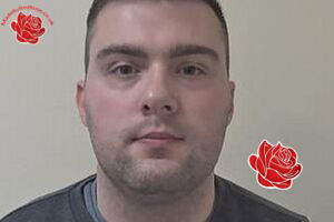Profile image of Ashley Gibbons