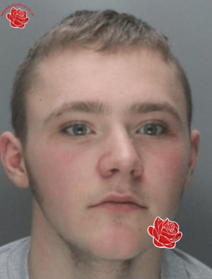 Profile image of Callum Hughes