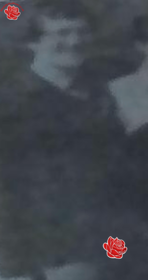 Profile image of Kenneth Haggan